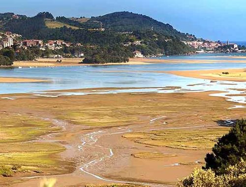 urdaibai urdaibai